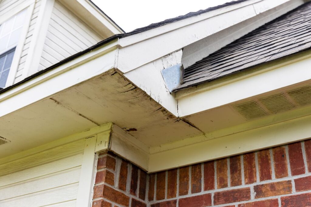 gutter installation fascia damaged by water