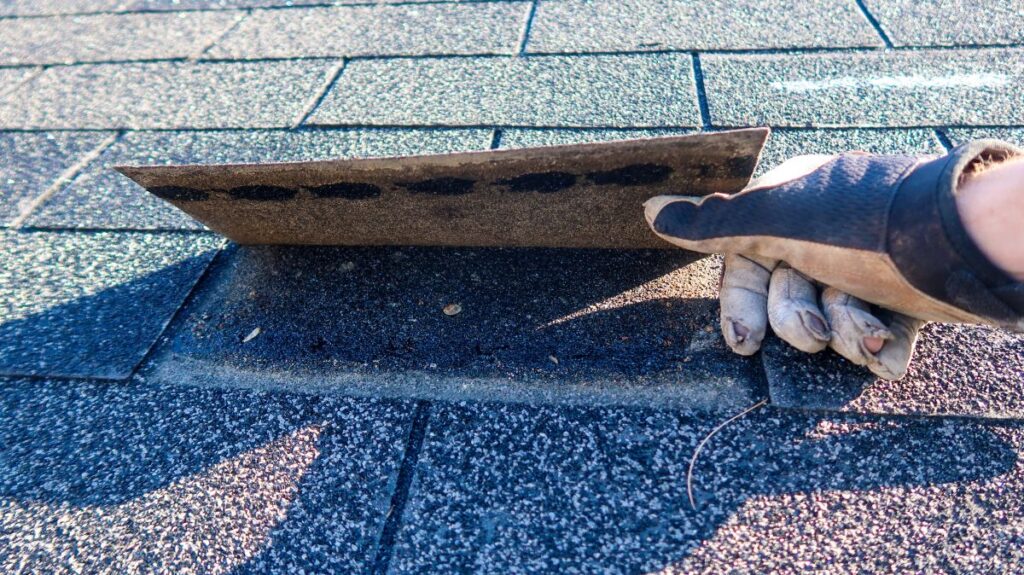 roof inspection services hand using glove inspecting under shingle