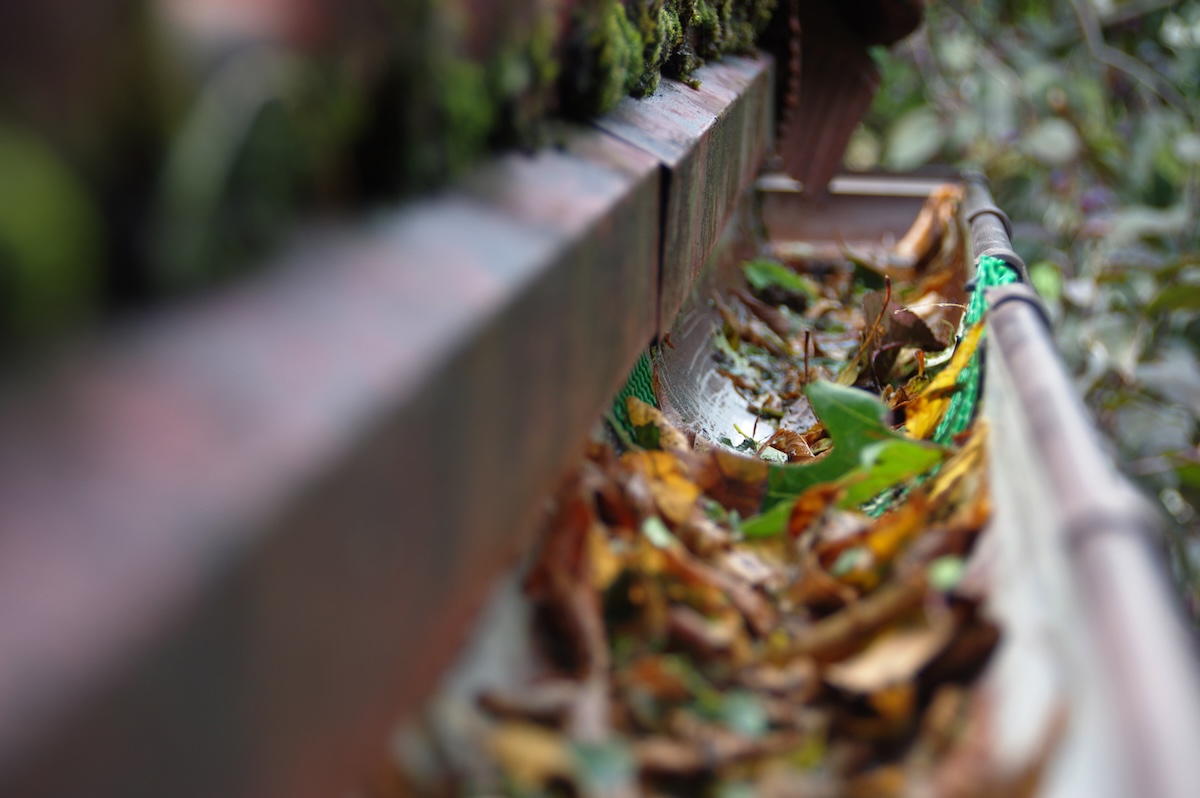 Plastic guard in gutter trough on a house roof.