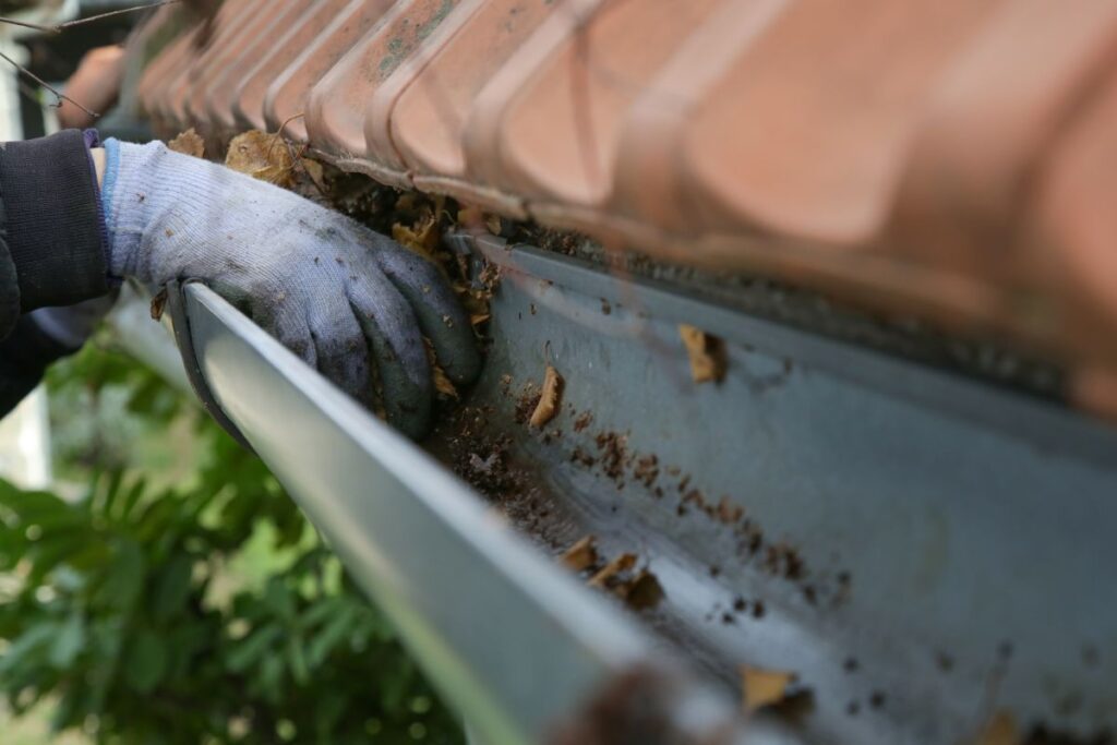 Cleaning the gutter from autumn leaves